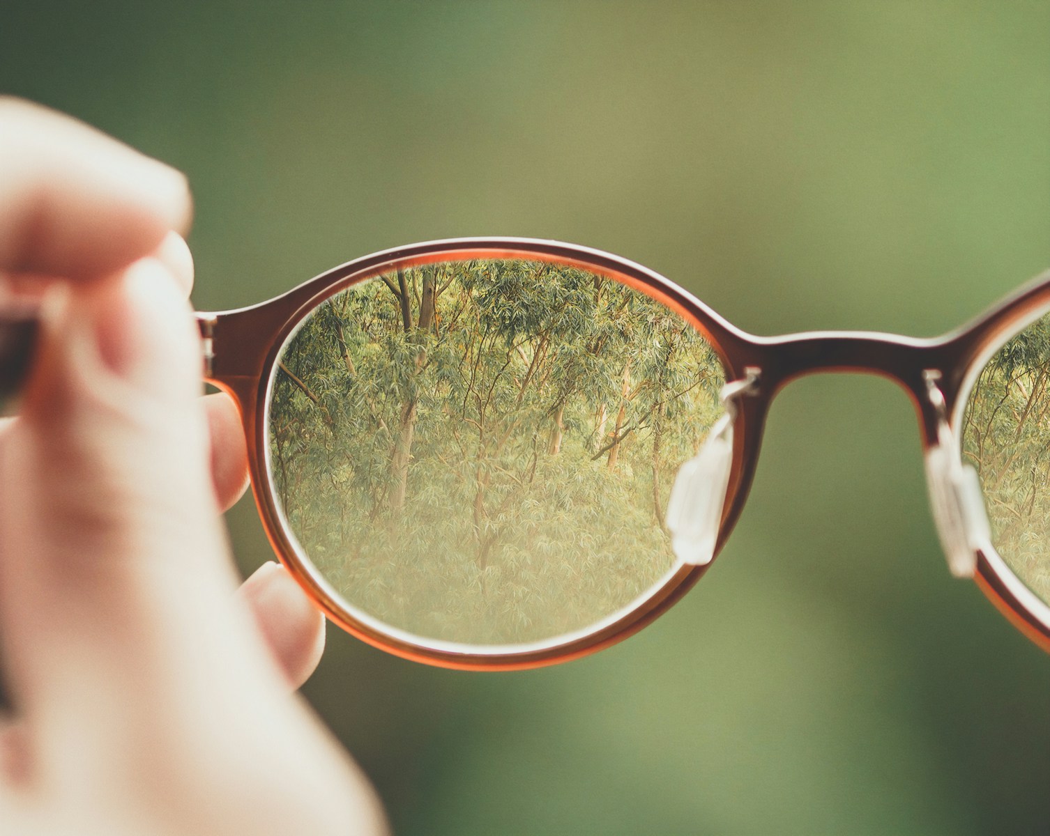 Photo by Bud Helisson person holding brown eyeglasses with green trees background
